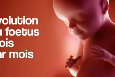 Detailed side-view illustration of a developing fetus in the womb labeled 4 mois 1.