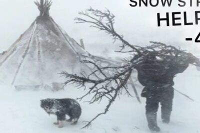 Person carrying a large snow-covered branch past a tent and dog in a blizzard, a beskytte 1.