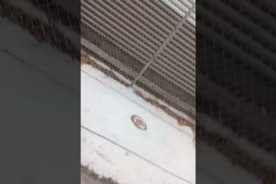 Snowy sidewalk beside a chain-link fence with a circular manhole cover visible, a spise 2
