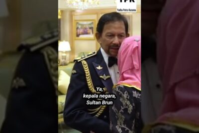 A man in a decorated military-style uniform greets a woman wearing a pink headscarf in a lavish room, absolut monarki 2.
