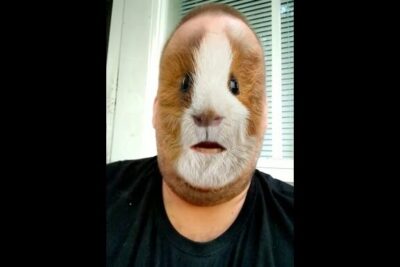 Person wearing a realistic guinea pig face filter in a vertical selfie, ajaa parta 1