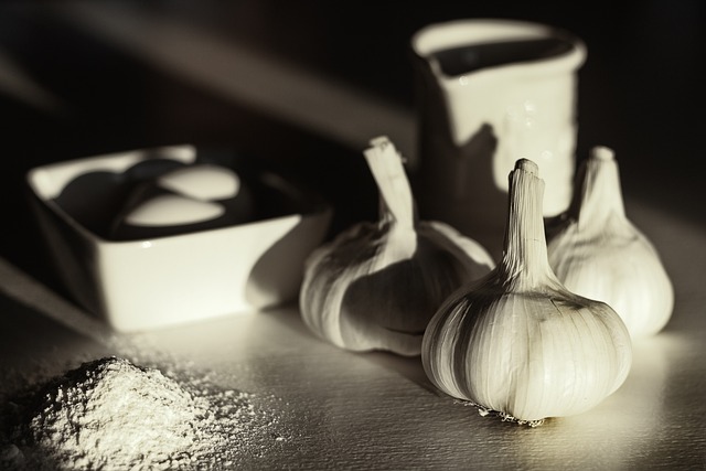 la malbouffe pour et contre