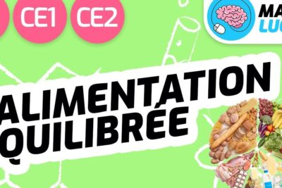 Bright educational banner displaying food groups and the phrase alimentation equilibree to illustrate a balanced diet.