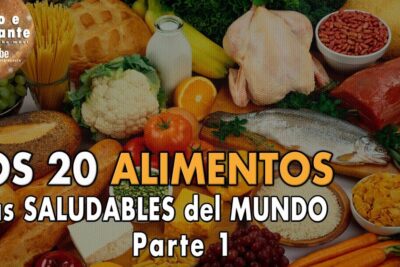 Colorful spread of fish, poultry, fruits, vegetables, grains and dairy representing alimentos naturales 2