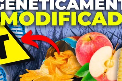 Warning-style collage of chips, sliced apple and cooking oil with DNA helix and a caution sign labeled alimentos transgenicos 14.