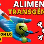 Riesgos de los alimentos transgénicos: Impacto en salud y medio ambiente