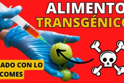 Gloved hands injecting a green tomato with a syringe beside a skull-and-crossbones icon and caution text, alimentos transgenicos 9.