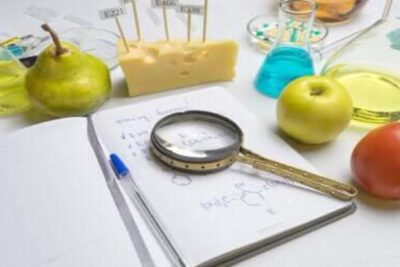Laboratory workspace with pear, apple, tomato, cheese, beakers and magnifying glass studying aliments transgeniques 4