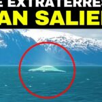 Beneficios cuestionados de no usar animales en investigaciones médicas: reflexiones científicas