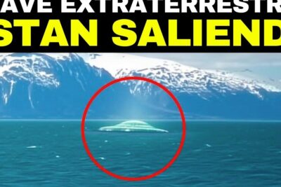 Circled dome-shaped object floating on open sea with snow-capped mountains in the background, animales investigaciones