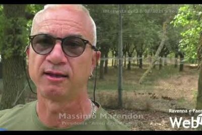 Close-up of a man in sunglasses outdoors with no animali coinvolti visible.