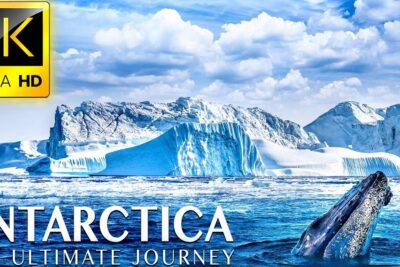 Vibrant polar seascape with towering icebergs, glacier cliffs and a whale surfacing in antarktis ar.