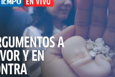 Hands holding a small fetal figurine with flowers and a news-style overlay about argumentos aborto 1.