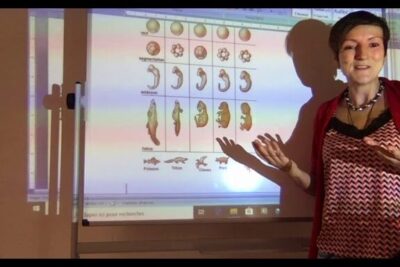Instructor presenting a projected comparative embryology chart with developmental stages and arguments faveur 1.