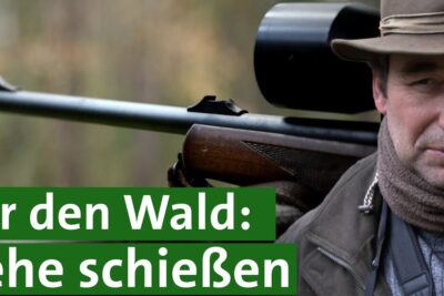 A hunter wearing a hat and scarf carrying a rifle on his shoulder at the woodland edge illustrating auswirkungen jagd.