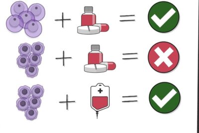 Illustrated chart comparing cell clusters with pills and an IV bag to show treatment outcomes for behandlung leukamie.