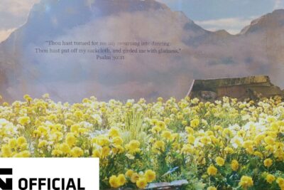 A sunlit yellow flower meadow under misty mountains and a soft sky evoking the big bang