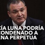 Cadena perpetua argumentos a favor y en contra