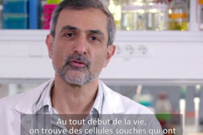 Male scientist in a laboratory discussing cellules souches 5