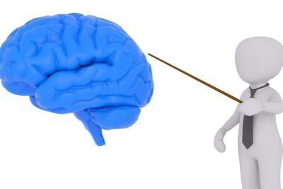 Faceless white 3D figure in a tie pointing with a stick at a large blue cerebro model