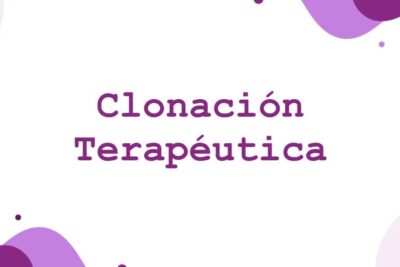 White presentation slide with purple lettering reading Clonación Terapéutica and abstract purple shapes, labeled clonacion terapeutica 2.
