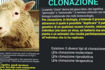 Infographic showing a sheep and Italian text explaining clonazione genetica and the three main types of cloning.