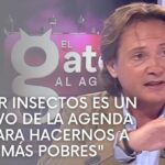 Riesgos para la salud al probar insectos: Por qué debes evitarlo
