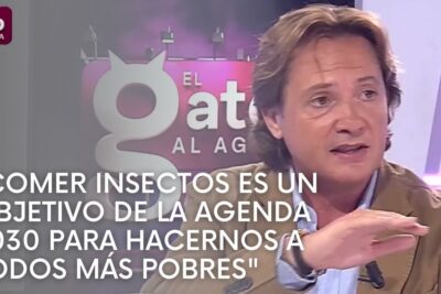 Male TV guest gestures during a studio interview with on-screen text referencing consumo insectos.