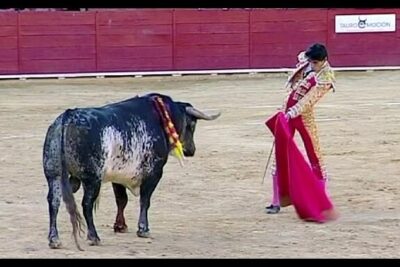 Matador facing a bull in a sandy arena during a corrida tori.