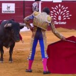 Corrida de toros a favor y en contra