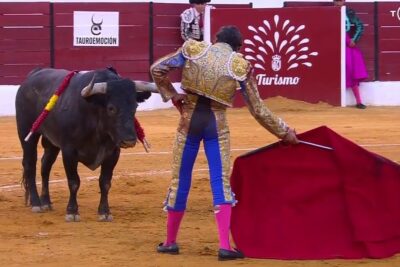 Matador in ornate costume waves a red cape at a bull in the arena during corrida toros 2.