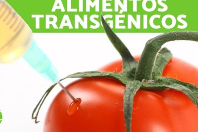Close-up of a syringe injecting a ripe tomato illustrating cultivos transgenicos 9