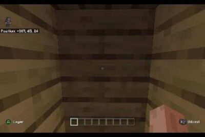 First-person Minecraft view of a small wooden-plank room with a visible player hand and empty hotbar, dette vare