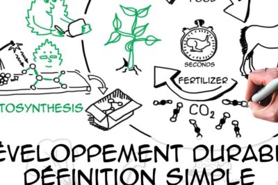 Whiteboard-style sketch showing photosynthesis, CO2, fertilizer, and plant growth labeled developpement durable 1.