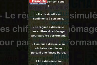 French graphic with example sentences illustrating dissimuler sentiments