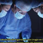 3 argumentos a favor y en contra de la donación de órganos