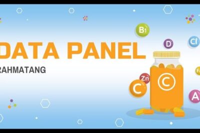 Blue data panel banner with large orange 'DATA PANEL' text, an orange vitamin C bottle and floating nutrient icons, eigenk ndigung 1