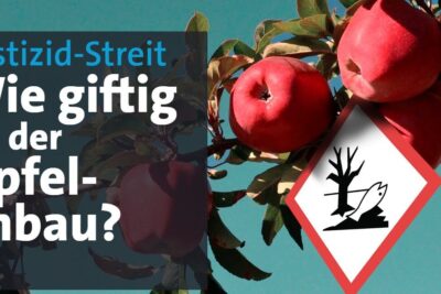 Ripe red apples on a tree beside an environmental hazard pictogram emphasizing einsatz pestiziden issues.
