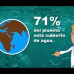 Importancia vital del agua: 5 razones para cuidar y protegerla