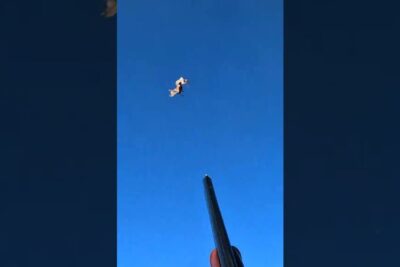 Shotgun barrel aimed at a bird in flight against a clear blue sky with another bird visible, elainten metsastys