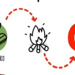 Invierte en energía biomasa: Descubre la fuente renovable del futuro