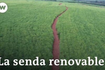 A winding dirt trail through tall green grass in a vast field representing energias limpias 1.