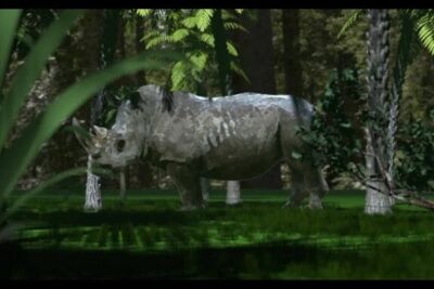 A solitary rhinoceros standing in a shaded forest clearing, captured as part of especies ameacadas 2.