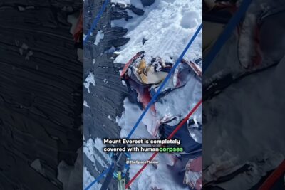 Eutanasi ar 1 snow-covered slope with bundled body bags, climbing ropes, and mountaineering gear