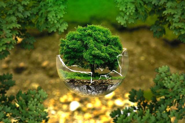Arguments for and against genetically modified organisms