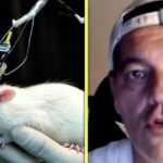 Ética y experimentación animal: Razones que cuestionan su uso