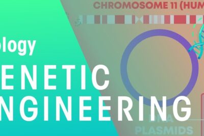 Graphic banner showing bold GENETIC ENGINEERING text, a DNA helix, chromosome diagram and plasmid illustration for genetic manipulation 3.