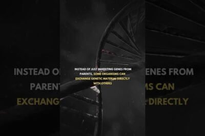 Dark DNA helix graphic with overlaid text about organisms exchanging genetic material, highlighting genetisk engineering