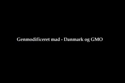 Black title slide with centered Danish text 'Genmodificeret mad - Danmark og GMO' highlighting genetisk modificerede 4
