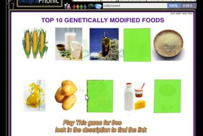 Screenshot of a Top 10 genetically modified foods chart showing images of corn, soy products, oils, rice, potatoes and dairy, genetiskt modifierade 14.